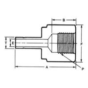 TAF Female Tube Adapter